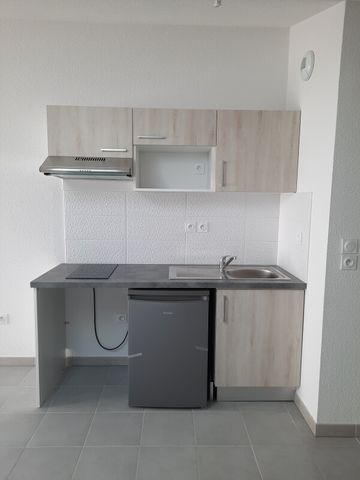 Location Appartement 1 pièce 32m² ROQUES 31120 - Photo 3