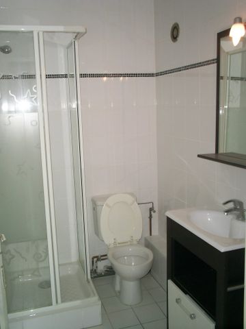 Un lumineux studio meublé avec un balcon Gare / quai Saint-Jean - Photo 5