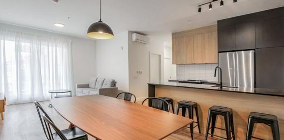 3 1/2 - Montréal (La Petite-Patrie) - 1 750 $/mois - Photo 2