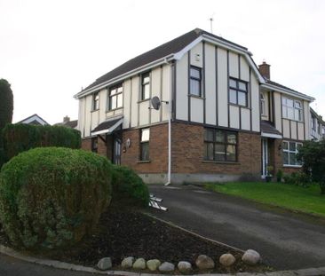 89 Hermitage, Culcavy, Hillsborough, BT26 6RJ - Photo 1