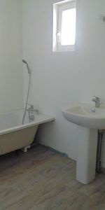 Location Appartement 3 pièces 92m² ST PAUL DE VARAX 01240 - Photo 3
