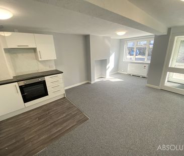 1 bed flat to rent in Doctors Road, Brixham, TQ5 - Photo 3