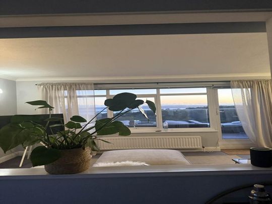 1 bedroom in a flat share to rent - Photo 1