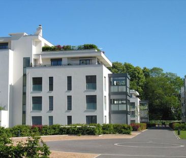Bel appartement lumineux de 153 m2 - Photo 4