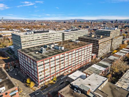 160 Rue St Viateur E., Montréal (Le Plateau-Mont-Royal), QC H2T - Photo 4