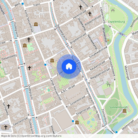 Lange Nieuwstraat en omgeving, 3512 NB, Zuilenstraat, Utrecht