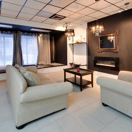 Beau grand LOFT chic Urbain chien accepté: meublé ou non ! - Photo 3