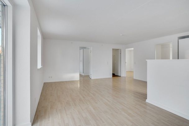 Velkommen til Dyres Kvarter - Foto 1