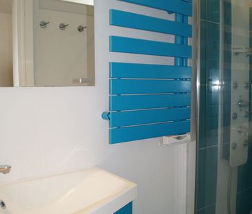 APPARTEMENT - MEUBLE - 1 CHAMBRE - MONPLAISIR - Photo 3