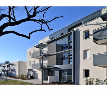 Location Appartement 2 pièces 36m² - Photo 3