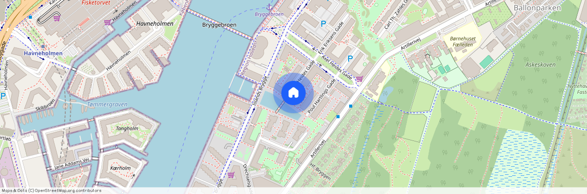 Axel Heides Gade 18, 5. th, 2300 København S