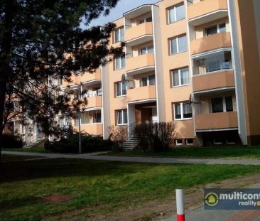 Pronájem bytu 1+1 ve Vyškově, sídliště Palánek - Fotografie 4