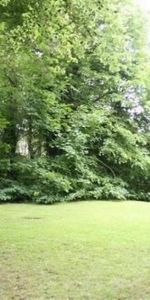 Ray Park Avenue, Maidenhead, Berkshire,SL6 - Photo 4