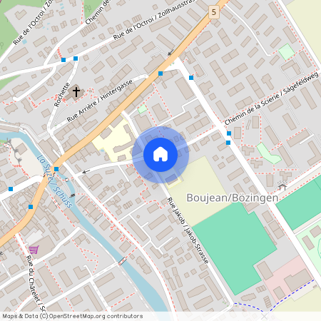 2504, Biel/Bienne, Chemin De La Scierie / Sägefeldweg, 24