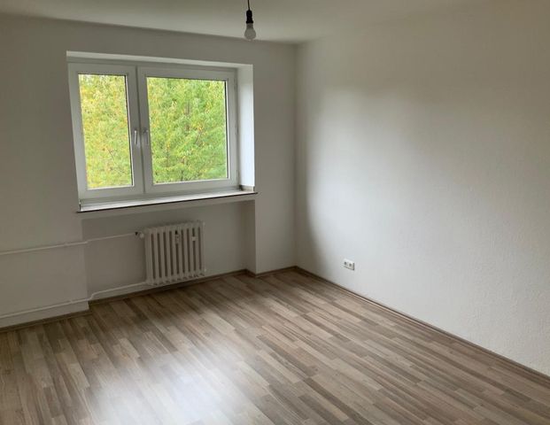 Demnächst frei! 2-Zimmer-Wohnung in Gelsenkirchen Hassel - Foto 1