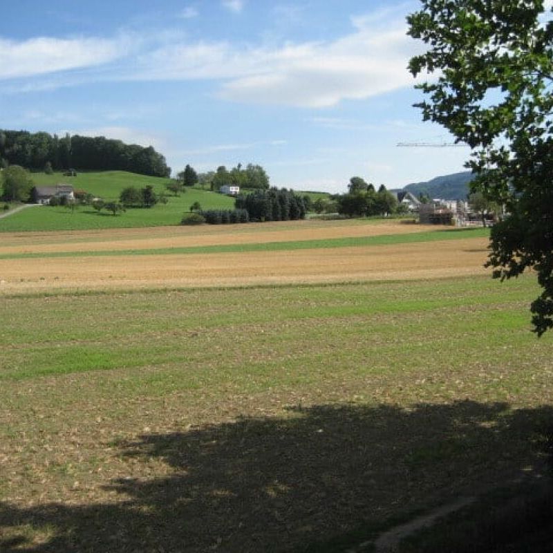 2 Zimmer, 50 m², 2. Stock - Photo 1