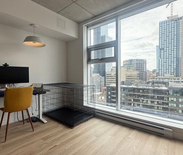 Appartement à louer, Montréal (Ville-Marie) - Photo 3