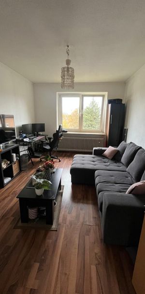 Helle 2-Zimmer-Wohnung & Einbauküche in Toplage - Photo 1