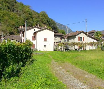 2 Zimmer, 49 m², EG - Photo 3