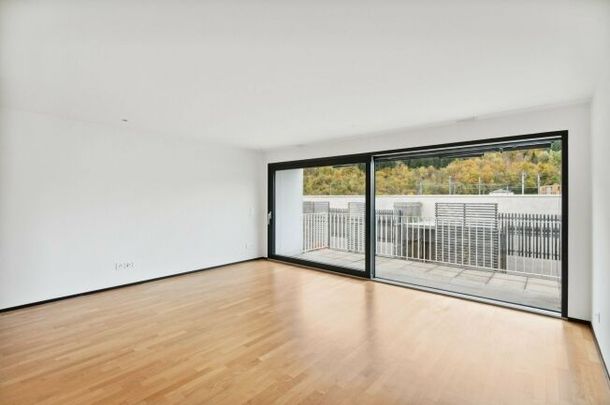 RENT WITHOUT DEPOSIT - A DREAM COME TRUE - Photo 1