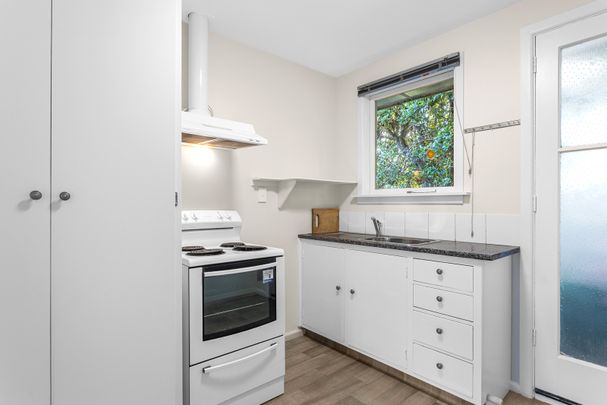 Newly Updated Rear 2 Bedroom Unit - Photo 1
