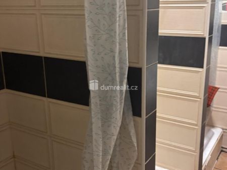 Pronájem bytu 1+kk 15 m2 - Fotografie 4