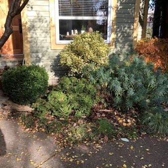 Strathcona Townhouse - Photo 3