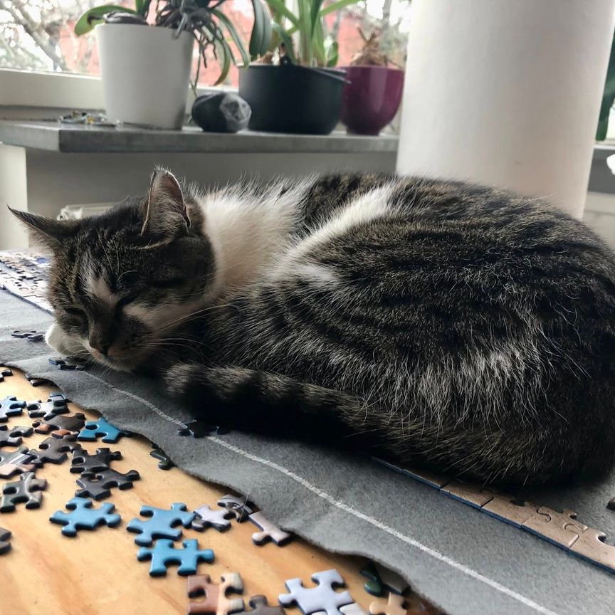 Brålunden, Bromma - Foto 1