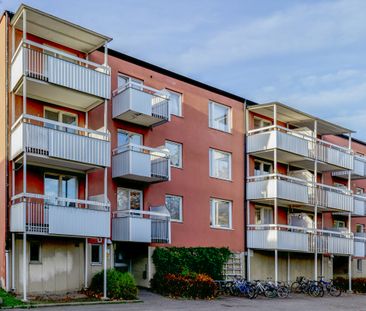 Hjortrongården 13 - Photo 2