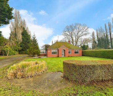 3 bedroom bungalow to rent - Photo 1