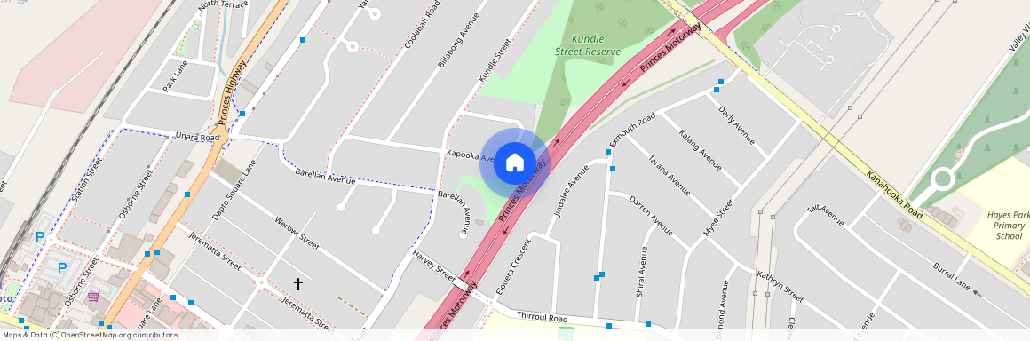 29 Kapooka Avenue, NSW 2530, Dapto