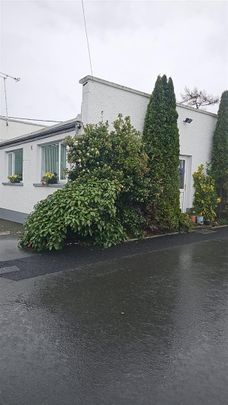 56 Ardigon Road, Killyleagh, - Photo 1