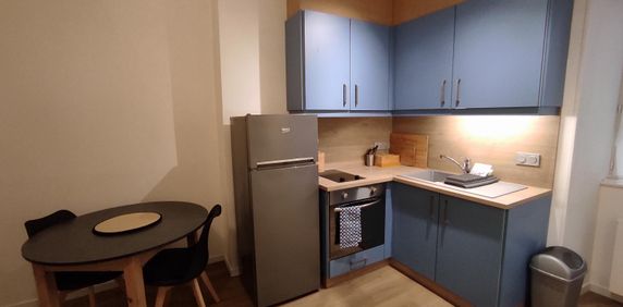 Location Appartement 1 pièce 21m² MILLAU 12100 - Photo 2