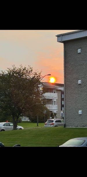3-1/2 condo entièrement meublé et chauffé - Photo 1