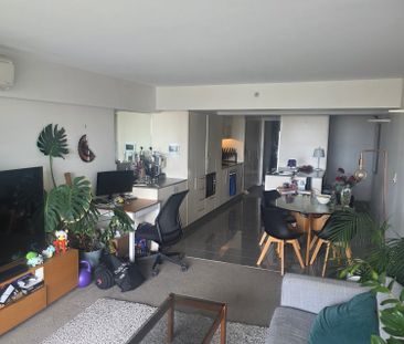 Surry Hills - Photo 5