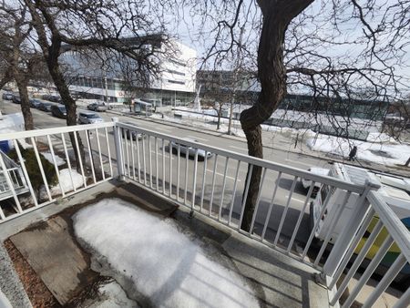 4967 Rue Bélanger - Photo 4