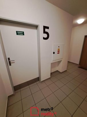Pronájem bytu 1+kk 30 m2 - Photo 1