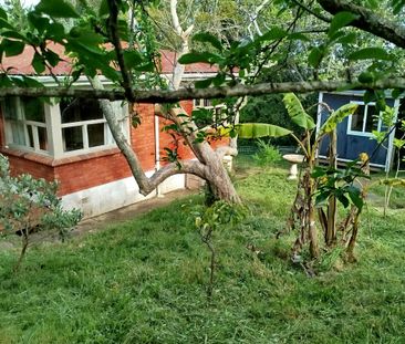 Howe Street Gem&excl; - Photo 4