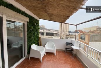 alicante, Valencian Community 03009