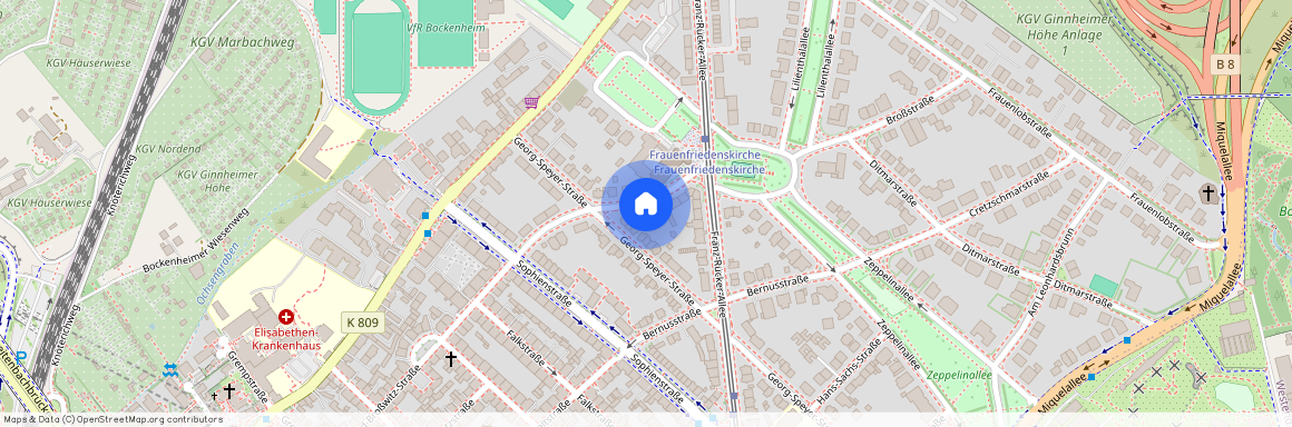 Hedwig-Dransfeld-Str. 14, 60486 Frankfurt