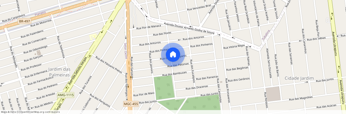 Cidade Jardim, Uberlândia, MG, 38412104