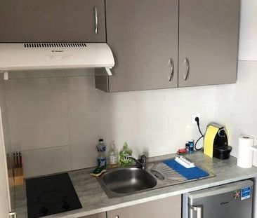 Location Appartement 1 pièce 28m² ALBI 81000 - Photo 3