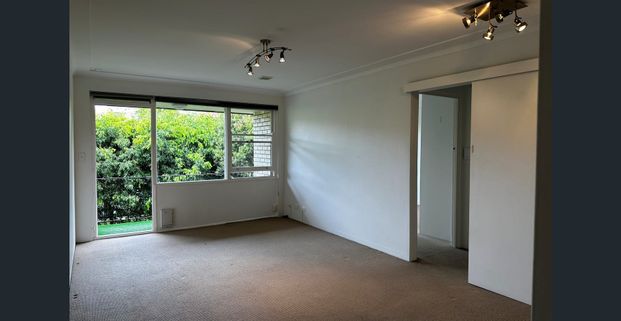 Super Convenient, Private, Bright & Airy! - Photo 1