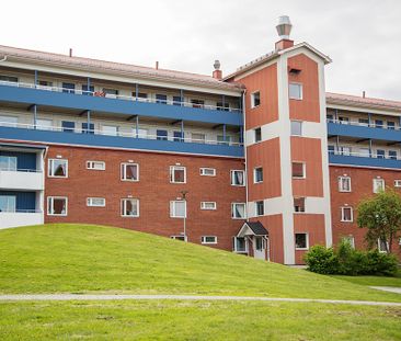 Ankarskatavägen 81 C, 94134, Piteå - Foto 1