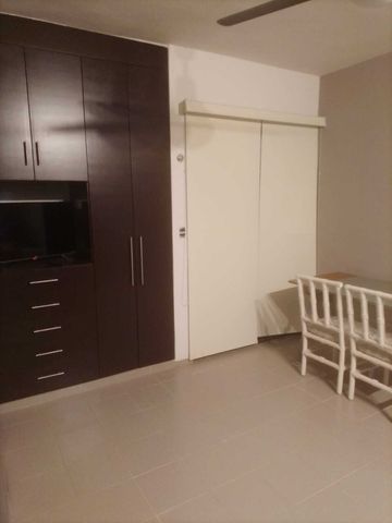 Departamento en Renta zona norte - Photo 4