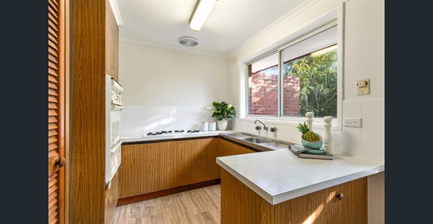 PLENTY TO OFFER! - Photo 1