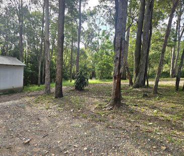 Rustic Acreage Living with Space to Spare - Photo 6