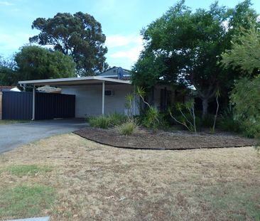 Peaceful Booragoon Living Just Moments from Blue Gum Reserve - Photo 1