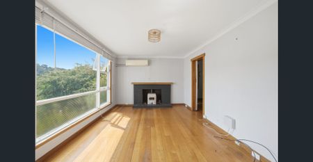 Light Filled 3 Bedroom Home in Convenient Location - Photo 4