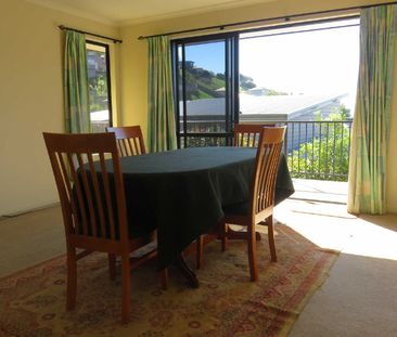 20 St Lawrence St, Toi Toi, Nelson - Photo 5